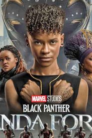 ดูหนังHDฟรี BLACK PANTHER: WAKANDA FOREVER (2022)