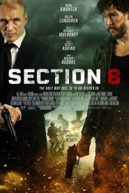 ดูหนังHDฟรี SECTION 8 (2022)